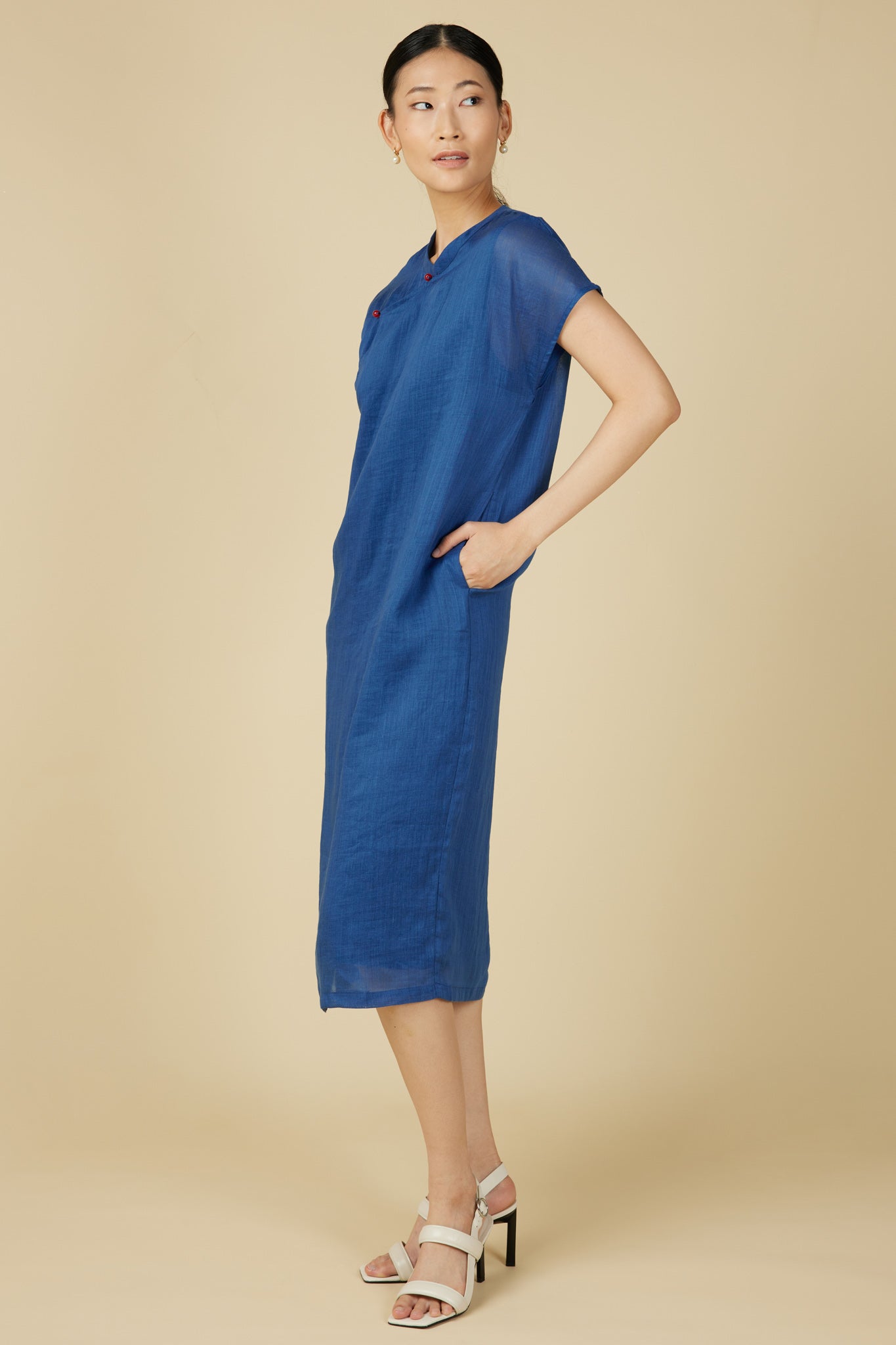 Minimalist Cheongsam Dress in Blue
